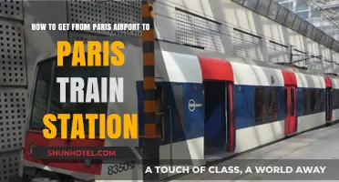 Easy Paris Airport to Train Station Transfer Guide