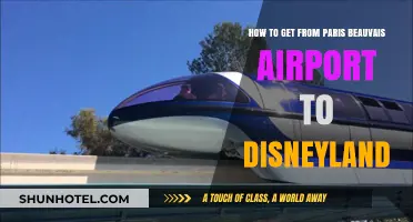 Paris Beauvais to Disneyland: Easy Transport Options & Travel Tips