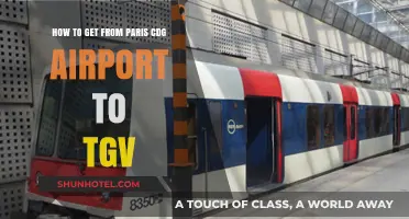Paris CDG to TGV: Quick, Easy, and Stress-Free Travel Guide