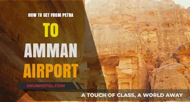 Traveling from Petra to Amman Airport: Efficient Routes and Tips