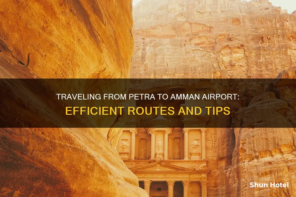 how to get from petra to amman airport
