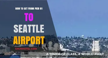Traveling from Pier 91 to Seattle Airport: Easy Transportation Tips