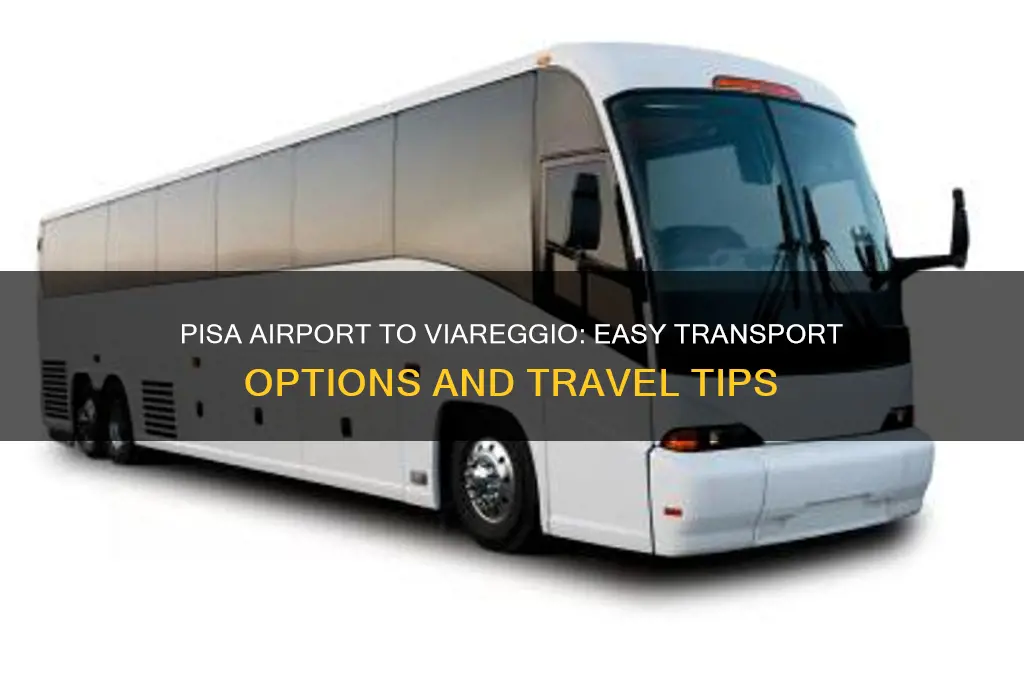 how to get from pisa airport to viareggio