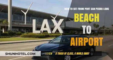 Easiest Ways to Travel from Port San Pedro to LAX Airport