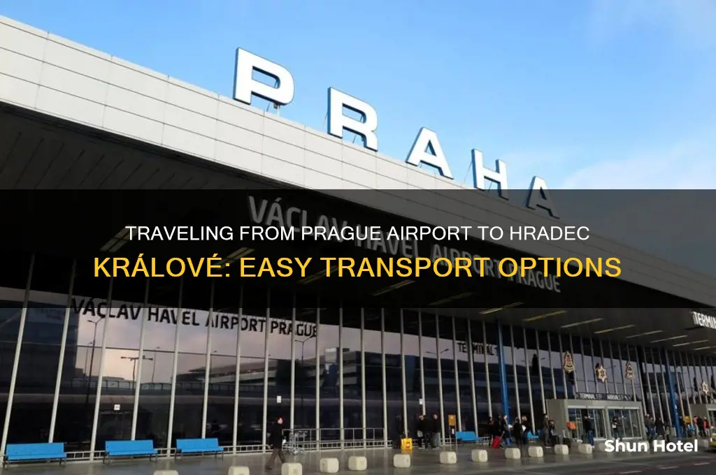 how to get from prague airport to hradec kralove