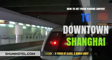 Easiest Ways to Travel from Pudong Airport to Downtown Shanghai