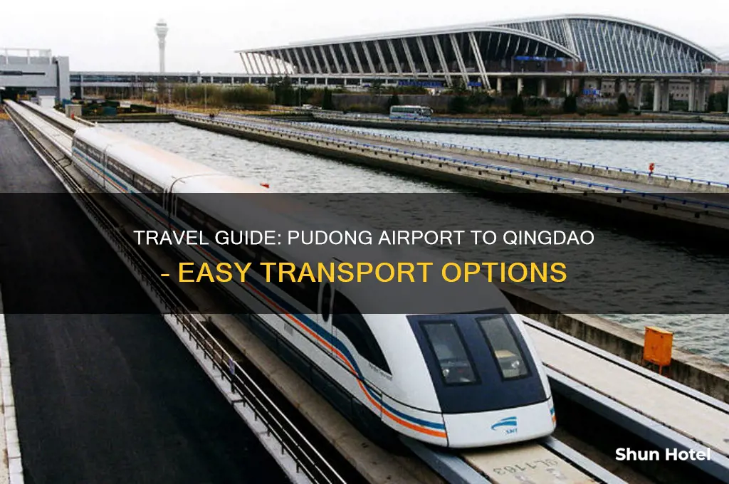 how to get from pudong airport to qingdao