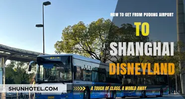 Travel Guide: Pudong Airport to Shanghai Disneyland Made Easy