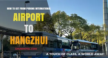Travel Guide: Pudong Airport to Hangzhou Transport Options Simplified