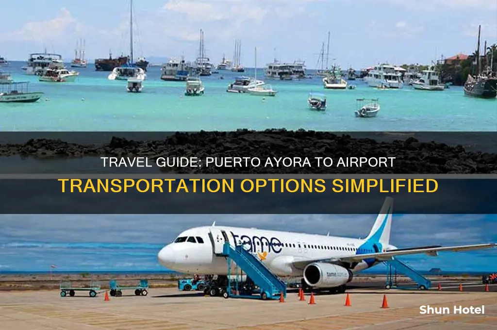 how to get from puerto ayora to the airport