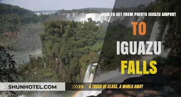 Travel Guide: Puerto Iguazu Airport to Iguazu Falls Transportation Tips