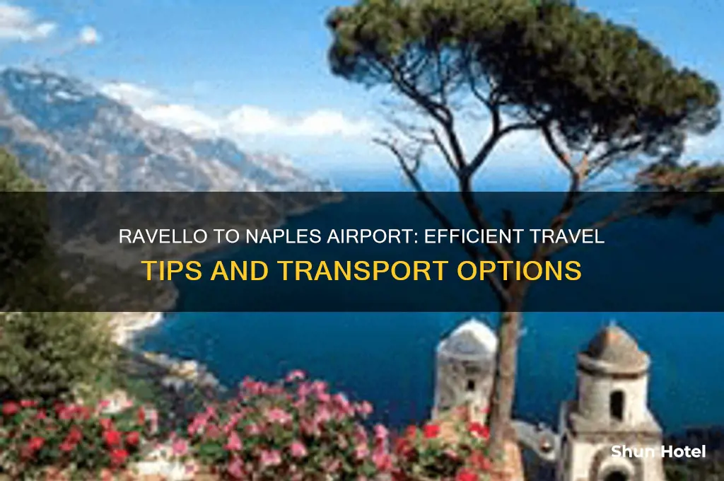 how to get from ravello to naples airport