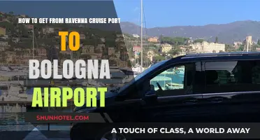 Travel Guide: Ravenna Cruise Port to Bologna Airport Transfer Tips