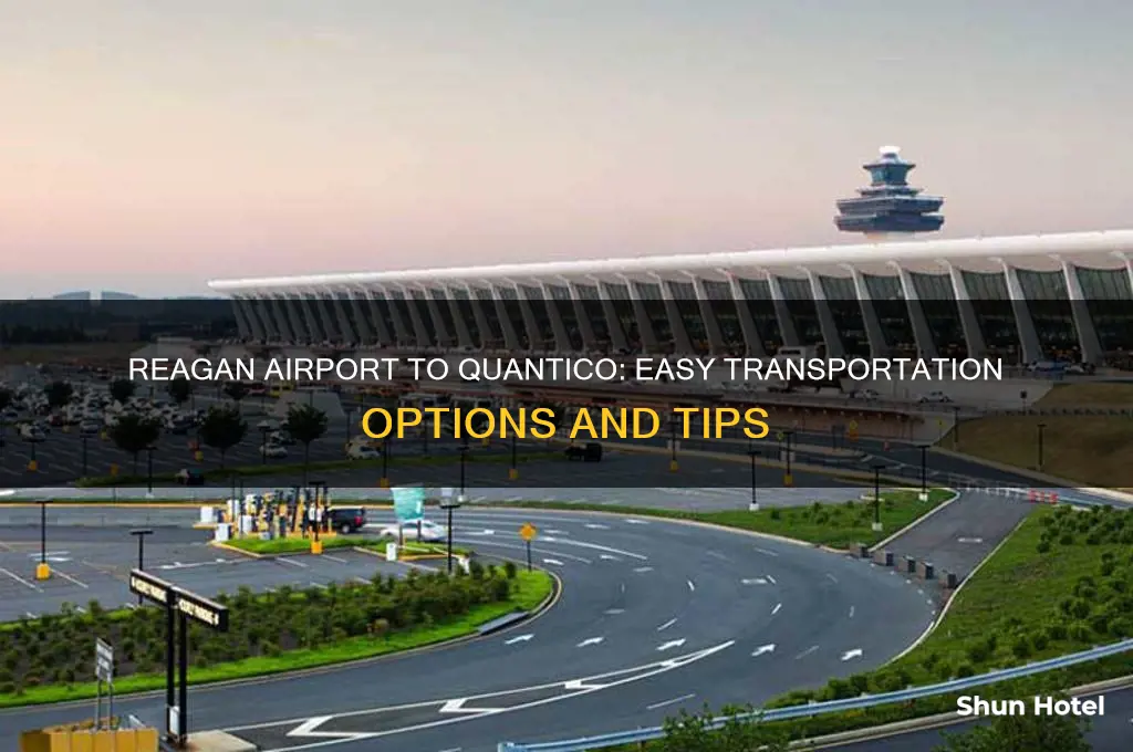 how to get from reagan airport to quantico