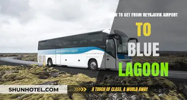 Reykjavik Airport to Blue Lagoon: Easy Transport Options & Tips