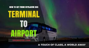 Easy Travel Guide: Reykjavik Bus Terminal to Airport Transfer Tips