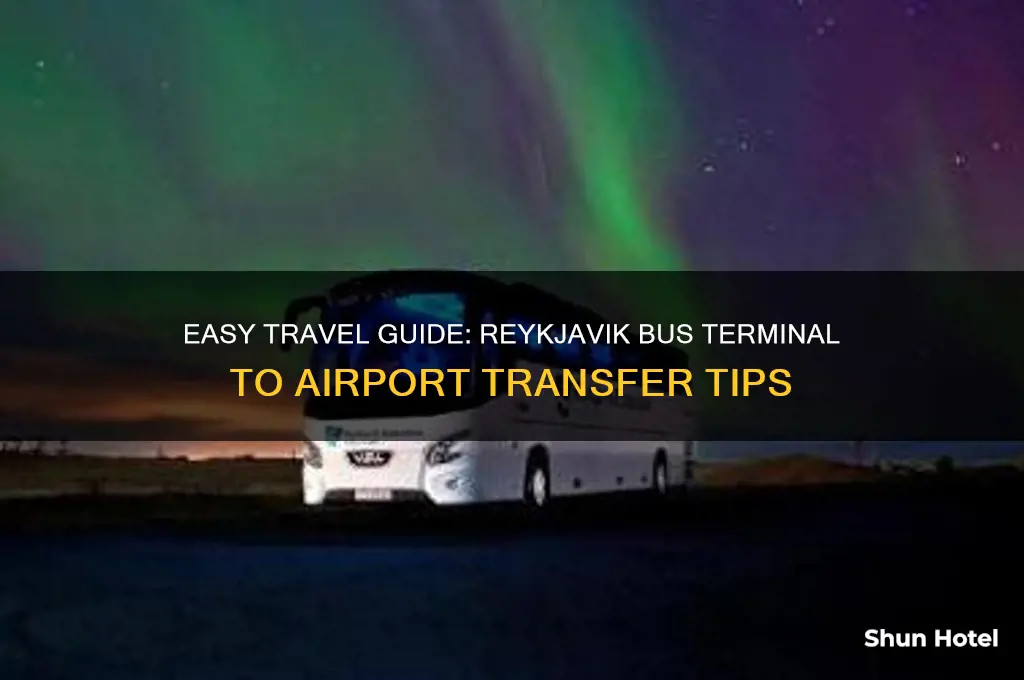 how to get from reykjavik bus terminal to airport