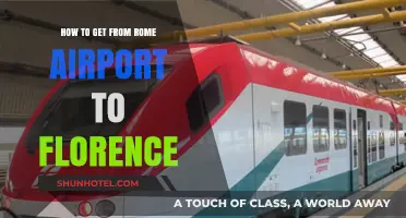 Traveling from Rome Airport to Florence: Easy Transport Options