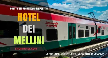Traveling from Rome Airport to Hotel dei Mellini: Easy Transport Tips