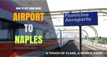 Traveling from Rome Airport to Naples: Easy Transport Options