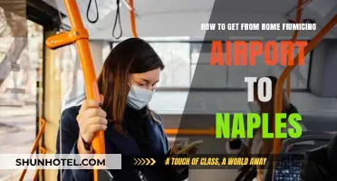 Traveling from Rome Fiumicino Airport to Naples: Easy Transport Options