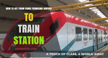 Easy Rome Fiumicino Airport to Train Station Transfer Guide