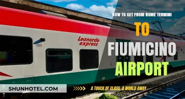 Traveling from Rome Termini to Fiumicino Airport: Easy Transport Guide