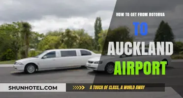 Traveling from Rotorua to Auckland Airport: Easy Transport Options