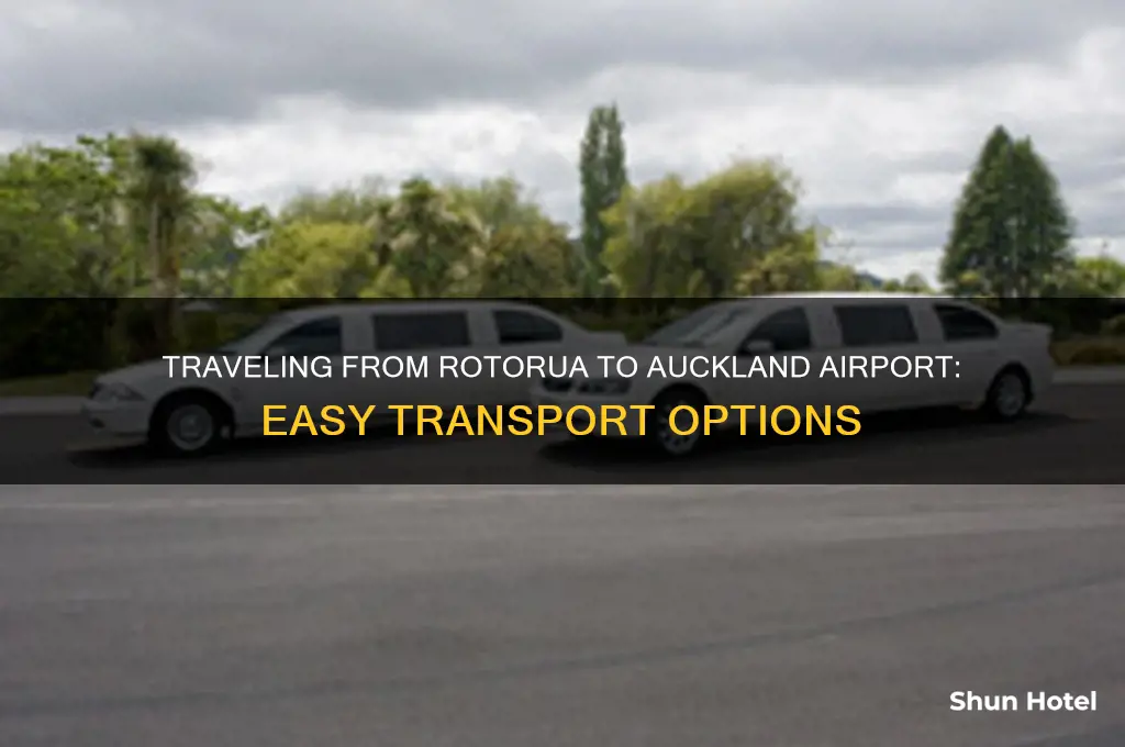 how to get from rotorua to auckland airport