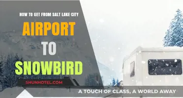 Travel Guide: Salt Lake City Airport to Snowbird Resort Transportation Tips