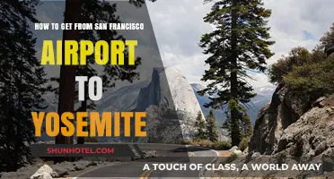 San Francisco Airport to Yosemite: Easy Transportation Options & Tips
