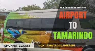 Traveling from San Jose Airport to Tamarindo: Easy Transport Options
