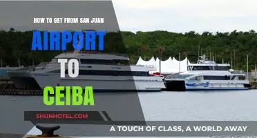 Traveling from San Juan Airport to Ceiba: Easy Transport Tips