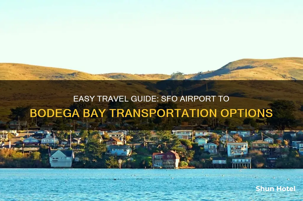 how to get from sanfrancisco airport to bodega bay
