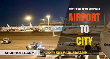 Easy Travel Tips: Sao Paulo Airport to City Center Guide