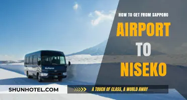 Sapporo Airport to Niseko: Easy Transport Options & Travel Tips