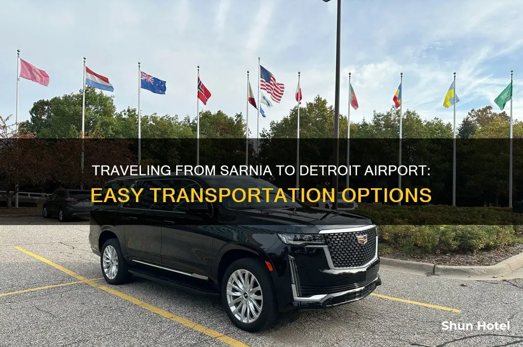how to get from sarnia to detroit airport