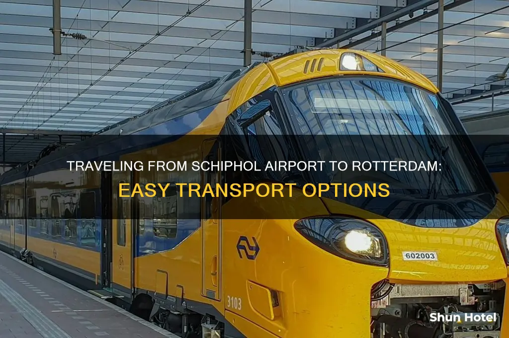 how to get from schiphol airport to rotterdam
