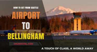 Seattle Airport to Bellingham: Quick, Easy, and Affordable Travel Tips