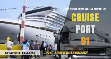 Seattle Airport to Cruise Port 91: Easy Transportation Guide