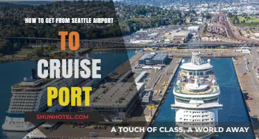 Seattle Airport to Cruise Port: Easy Transportation Options & Tips