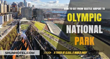 Seattle Airport to Olympic National Park: Easy Travel Guide