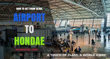 Seoul Airport to Hongdae: Easy Transportation Guide for Travelers
