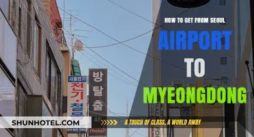 Seoul Airport to Myeongdong: Easy Transportation Guide for Travelers
