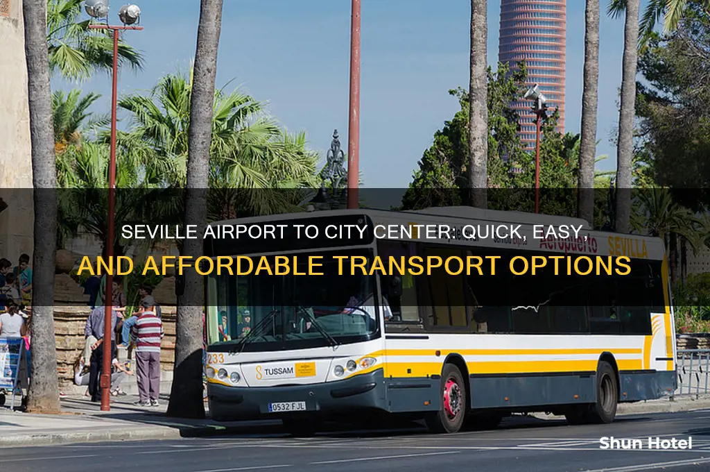 how to get from seville airport into town