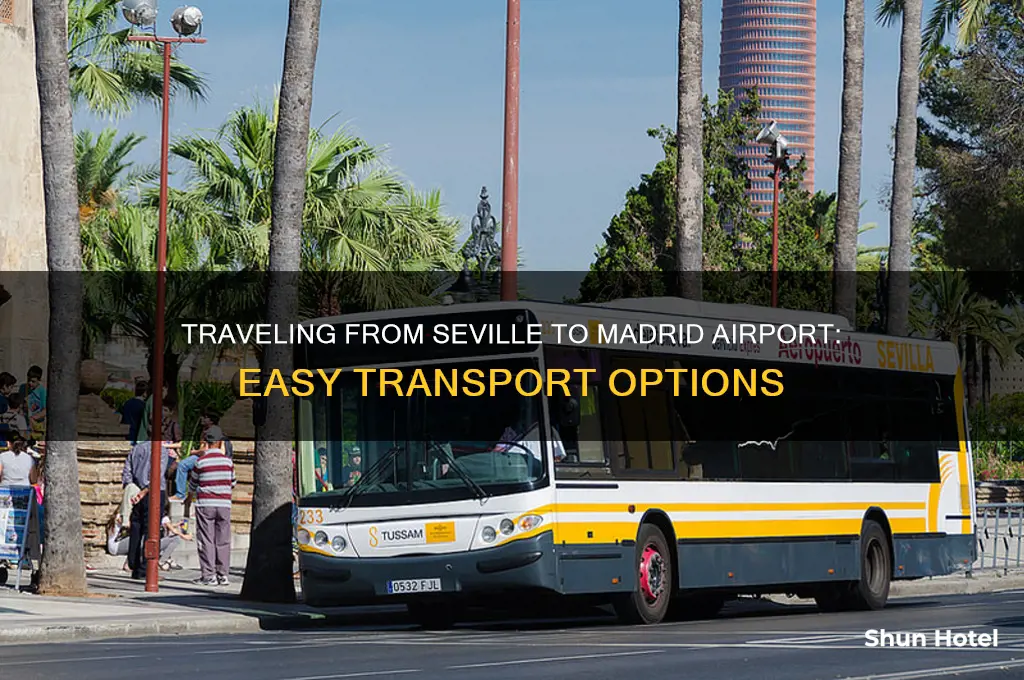how to get from seville to madrid airport