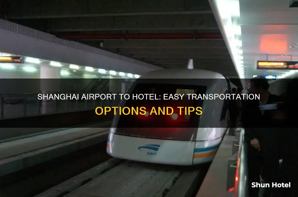 how to get from shanghai airport to hotel