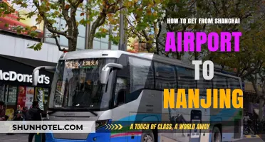 Shanghai Airport to Nanjing: Efficient Travel Tips and Transport Options