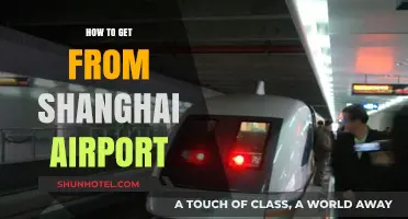 Efficient Travel Tips: Navigating from Shanghai Airport to the City