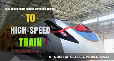 Shanghai Pudong Airport to High-Speed Train: Quick & Easy Transit Guide